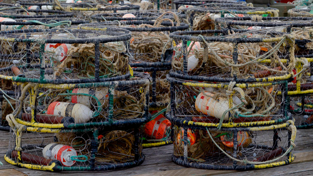 crab pot removal