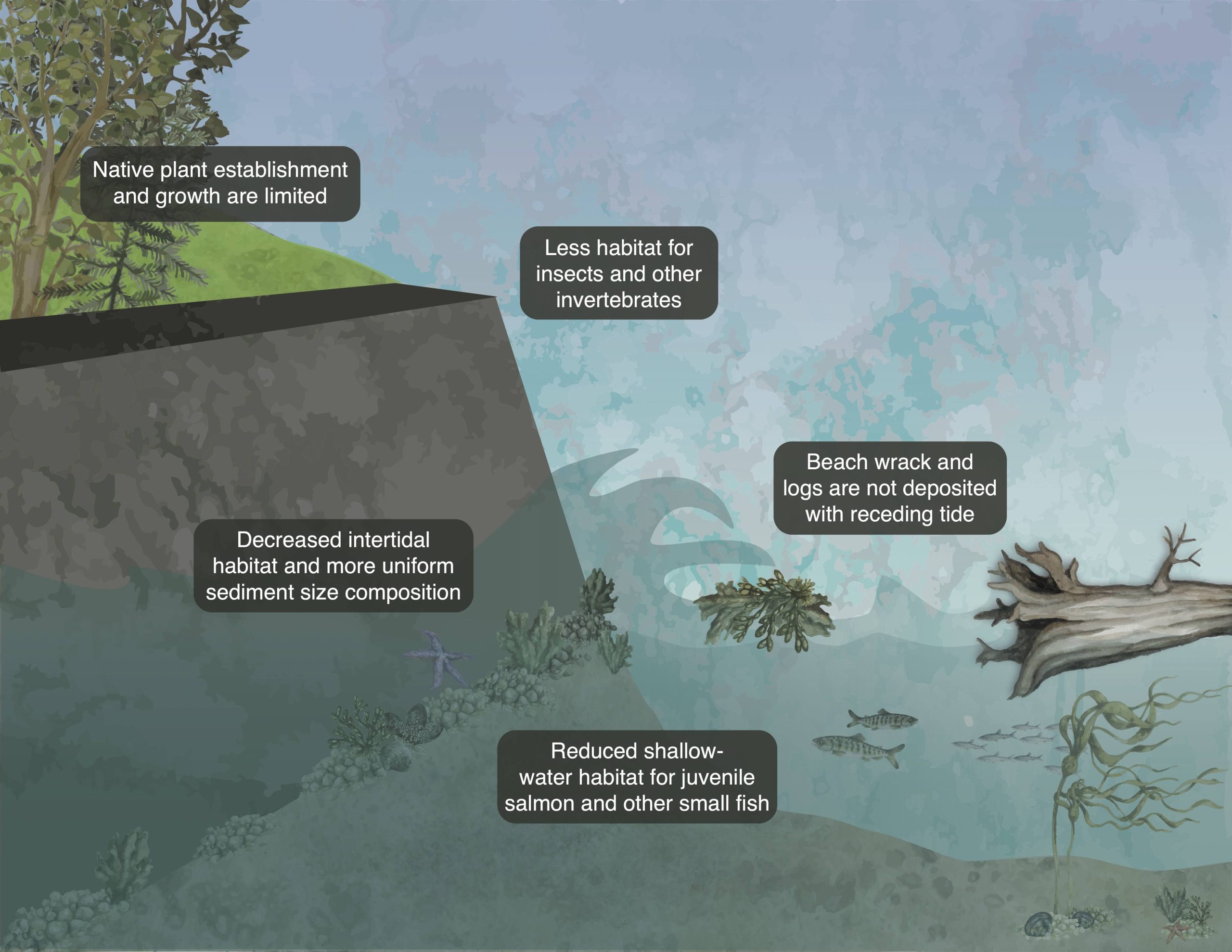 GRAPHIC 1_Armored Shore Graphic Labelled Simone Des Roches